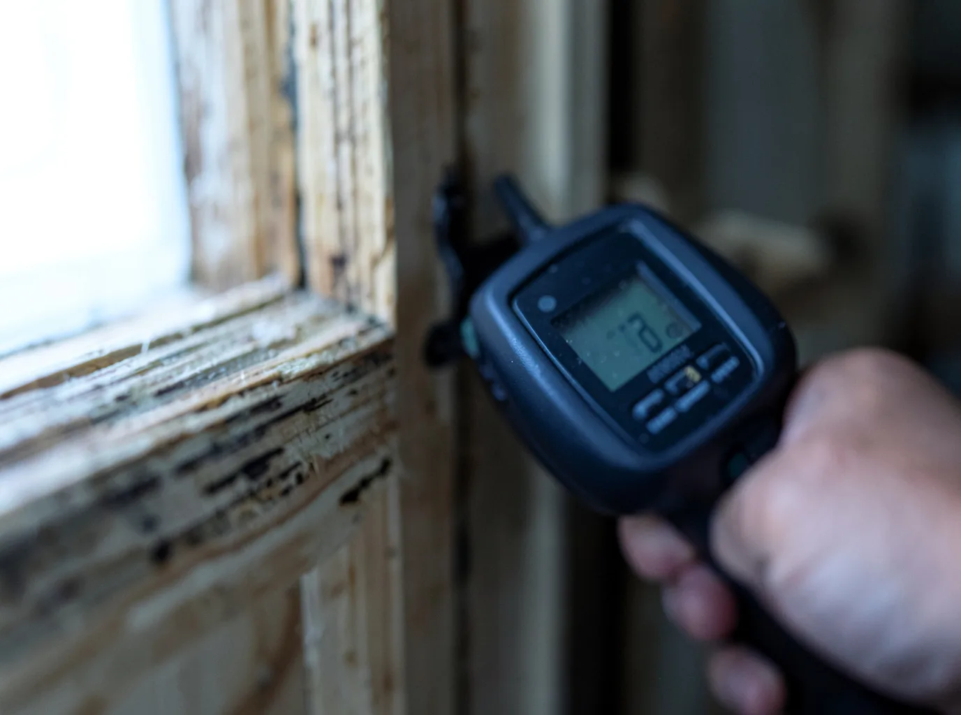 Moisture Inspection And Documentation in Danville, CA